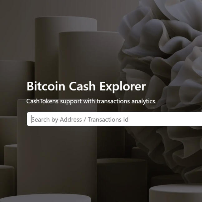 SalemKode BCH Explorer